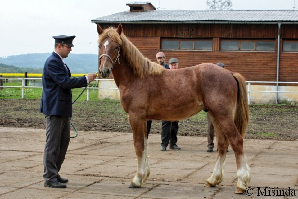 03 - ČMB 59/380 BOROMIR Z BOŇOVA